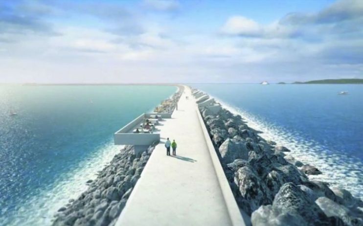 The chief executive of the Swansea Tidal Lagoon has called for Boris Johnson to give the go ahead to the renewable energy project,