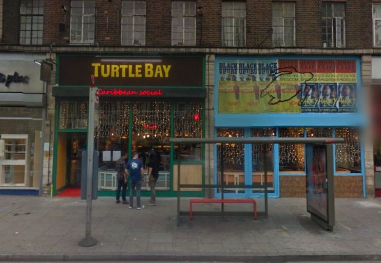 Turtle Bay