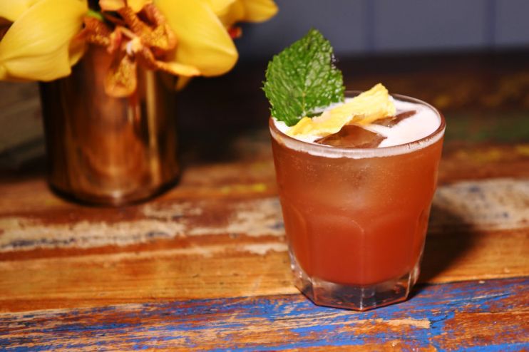 BACARDI And Dascha Polanco Celebrate National Rum Day In New York