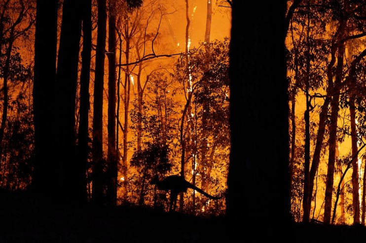 Emergency Warning Issued For Hawkesbury As Bushfire Nears Sydney Outskirts
