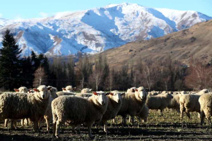 Queenstown Prepares For Ski Season To Open Following Coronavirus Lockdown