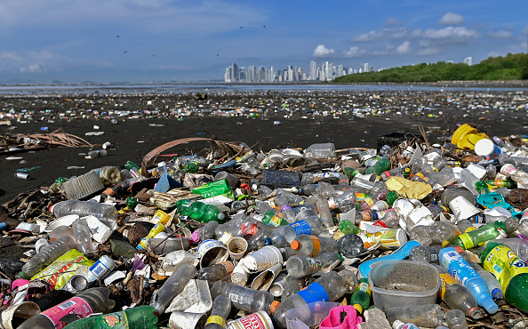 PANAMA-ENVIRONMENT-CORAL-REEFS-RESTORATION