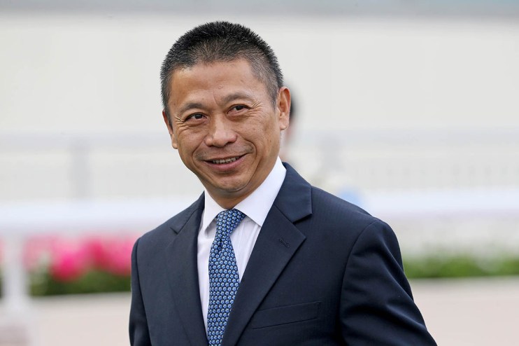 Danny Shum prepares horse Thor at Sha Tin Racecourse for Class Three Junction Handicap on all-weather surface.