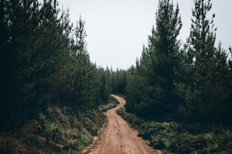 Rory Sandilands, manager of the Aegon Global Short Dated Climate Transition fund, is pushing to make companies more sustainable by buying their bonds.