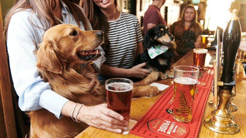You can now get paid to go to the pub