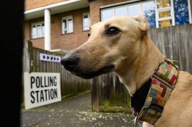 City PM's guide to what you can and can't do in a polling station during the UK General Election. (Photo by Leon Neal/Getty Images)