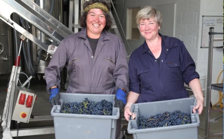 Off The Line Vineyard founders Kristina Studzinski and Ann-Marie Tynan in 2014.&nbsp;Photo: Off The Line