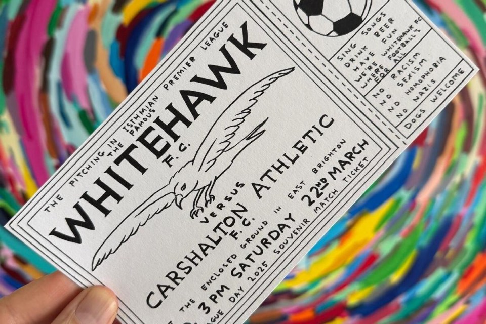 The 'Priceless Ticket' created by the artist costs &pound;13 for adults