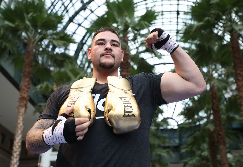 Anthony Joshua v Andy Ruiz Jr. - Media Workout