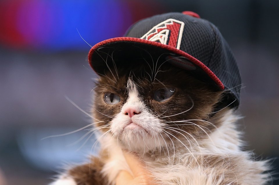 Colorado Rockies v Arizona Diamondbacks